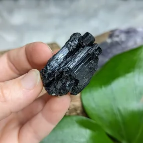 Dazzling AA Black Tourmaline Natural Specimen~ Gemmy Protective Pocket Stone