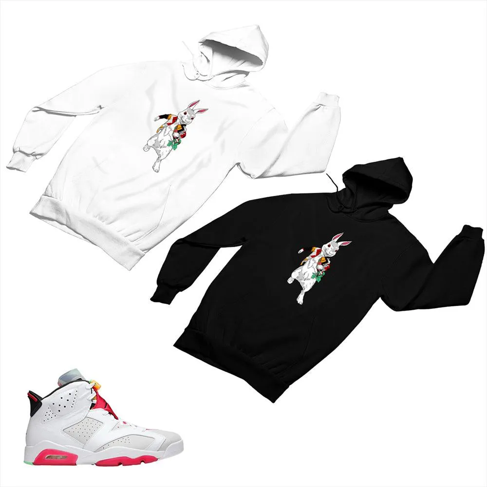 Jordan 6 Neutral Gray Matching Custom Designed Hoodies JD 6-22-5