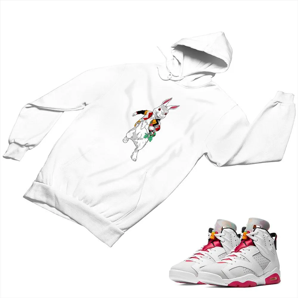 Jordan 6 Neutral Gray Matching Custom Designed Hoodies JD 6-22-5