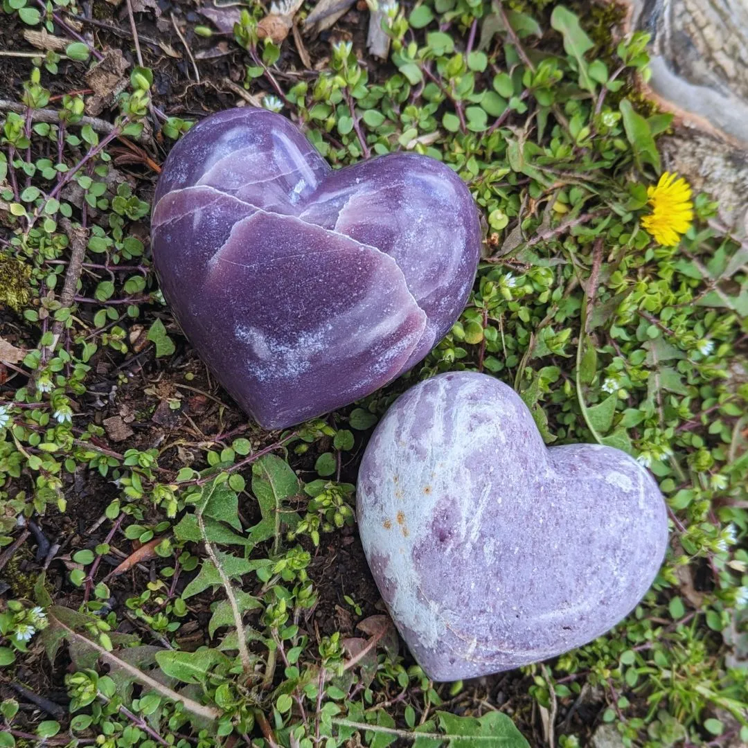 Lavender Purple Mica Lepidolite Sparkling Heart Carvings ~ Large ~ from North Dakota, USA