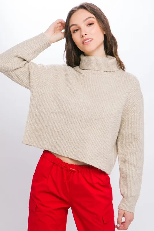 Turtleneck Relaxed Fit Sweater