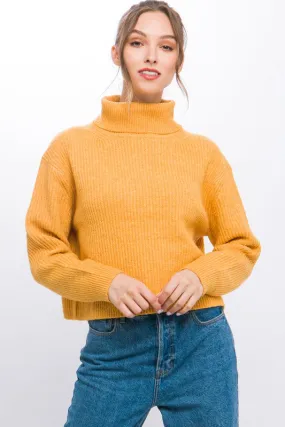 Turtleneck Relaxed Fit Sweater