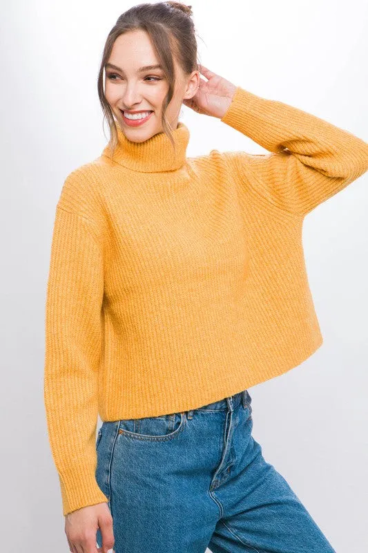 Turtleneck Relaxed Fit Sweater