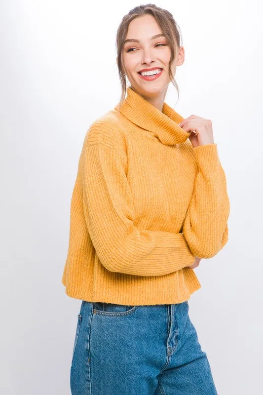 Turtleneck Relaxed Fit Sweater