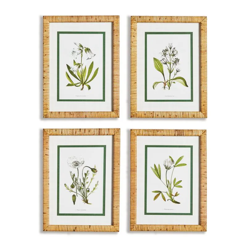 White Floral Study - (set of four)